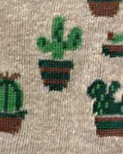 کاکتوس کرم ملانژ